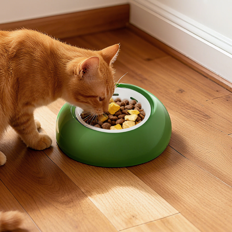 Pet Enticing Bowl