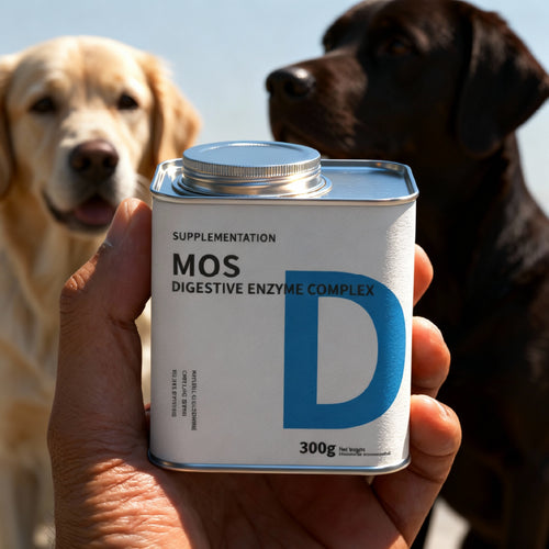 Digestive Enzymes Soft Chews